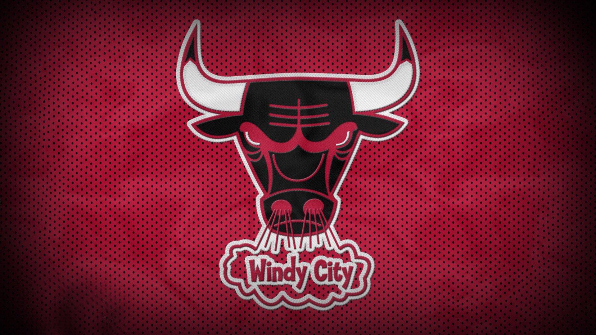 十七载青春相伴，女球迷见证赛场传奇与时代变迁